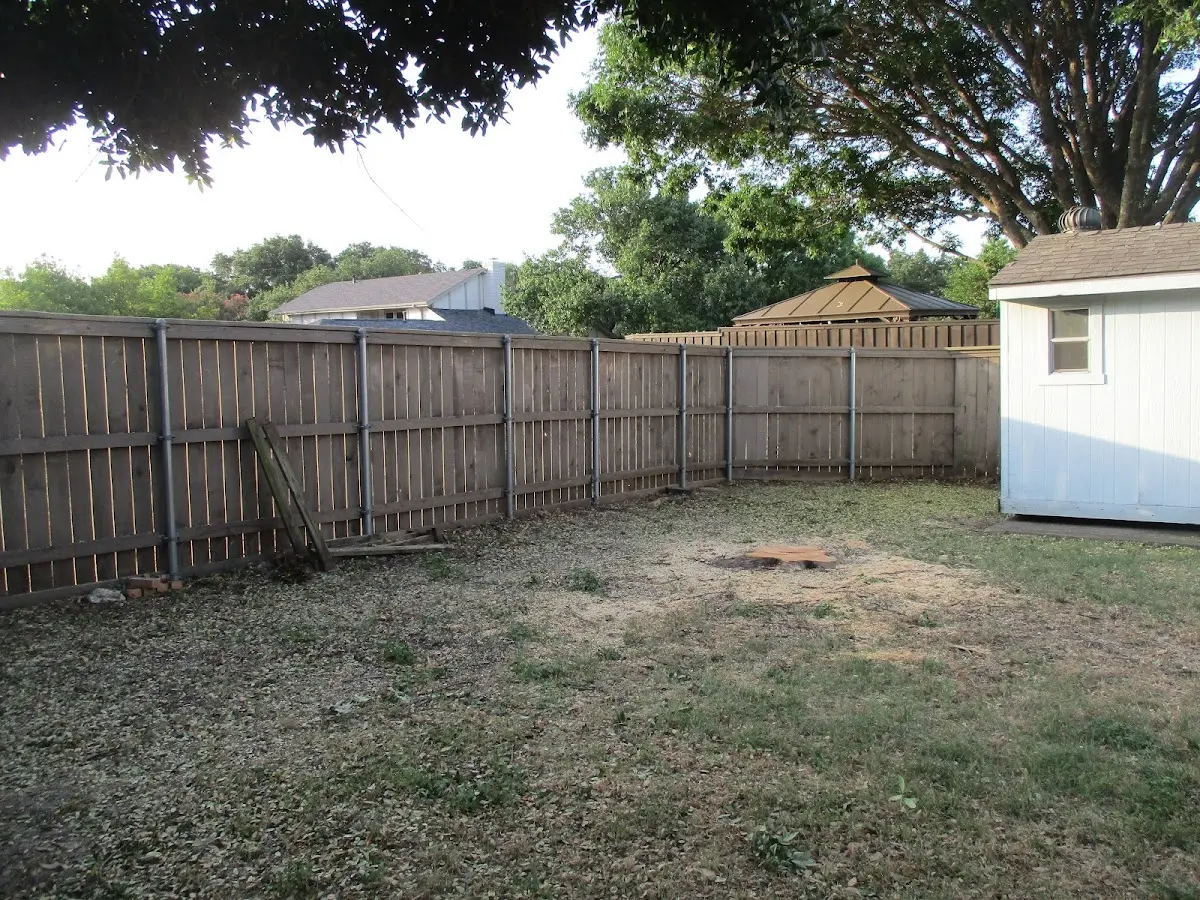Cleared yard after professional tree removal in Grant Park